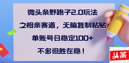 全网首发微头条野路子2.0玩法之相亲赛道，无脑搬砖复制粘贴，单账号日稳定300+保姆级教程